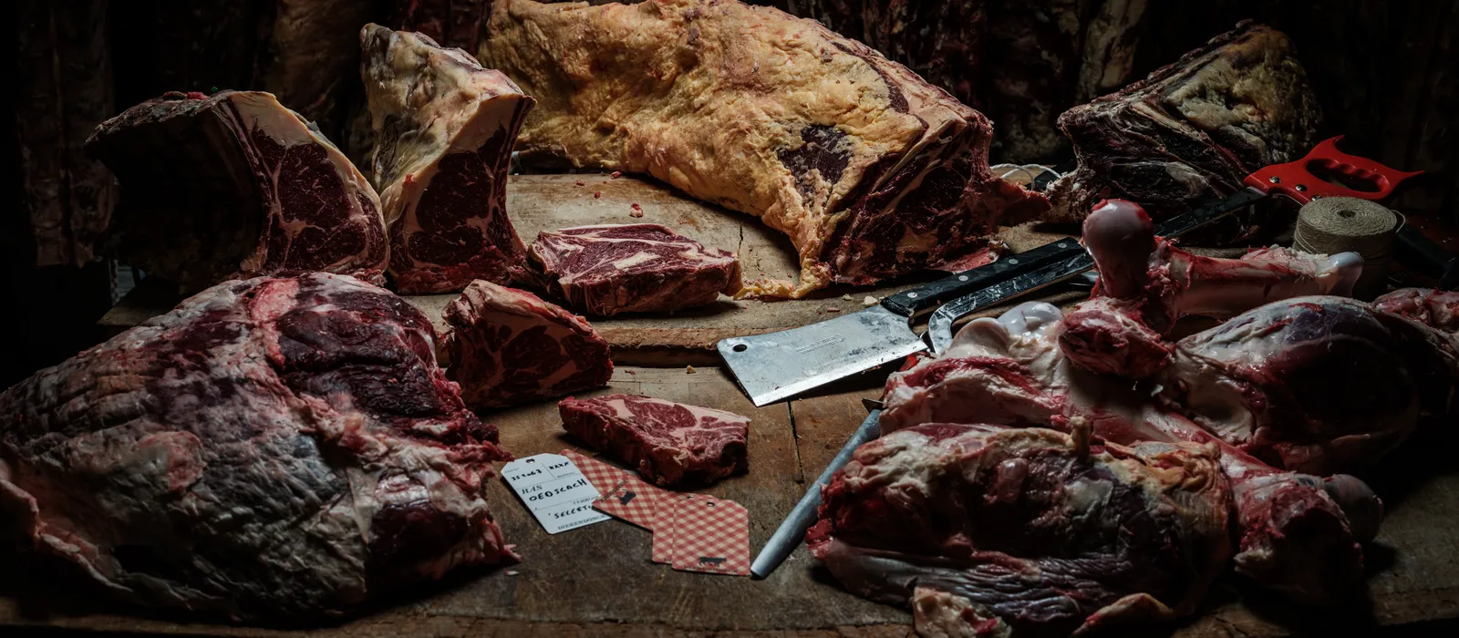 1757583876-dierendocnk - © Pieter D'Hoop-164